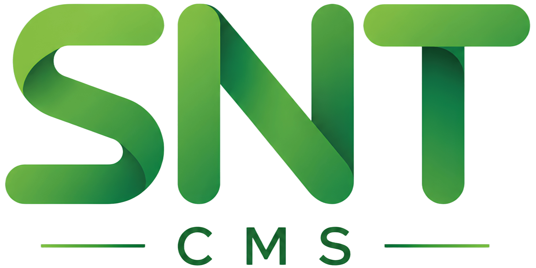 СНТ CMS